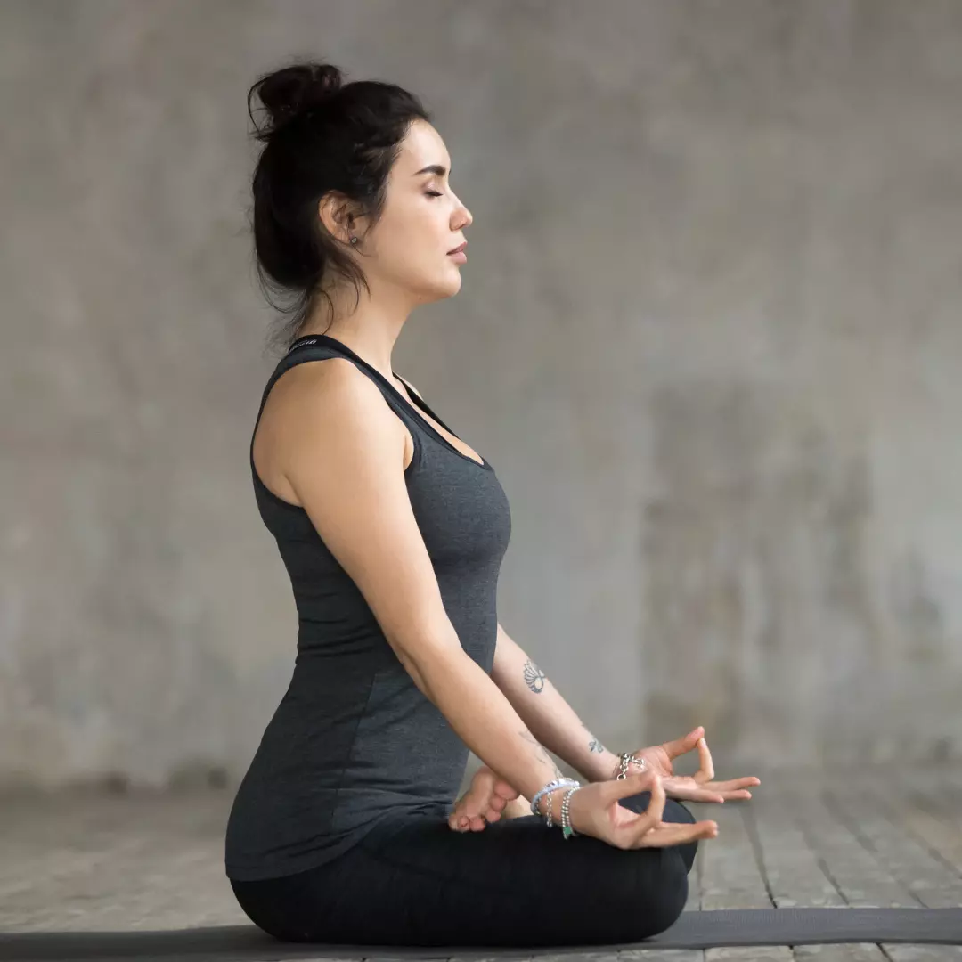 yogi yogi