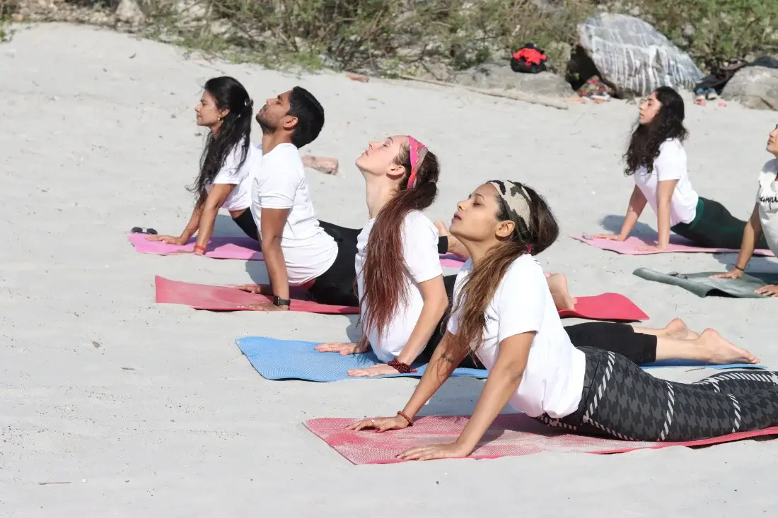 Students in upward facing dog during a sun salutation practice
