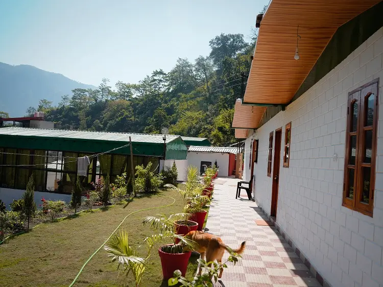Garden walkway on campus with the Himalayan foothills beyond