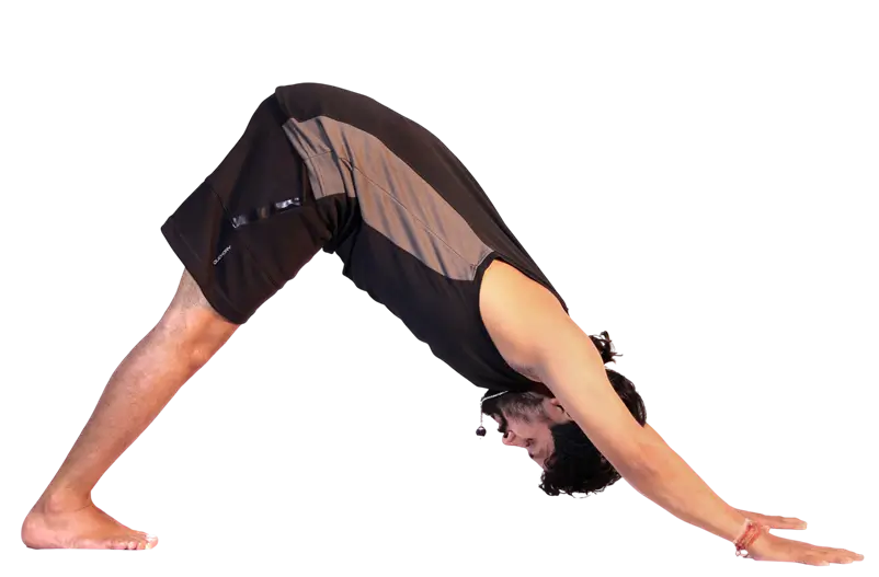 Dandasana