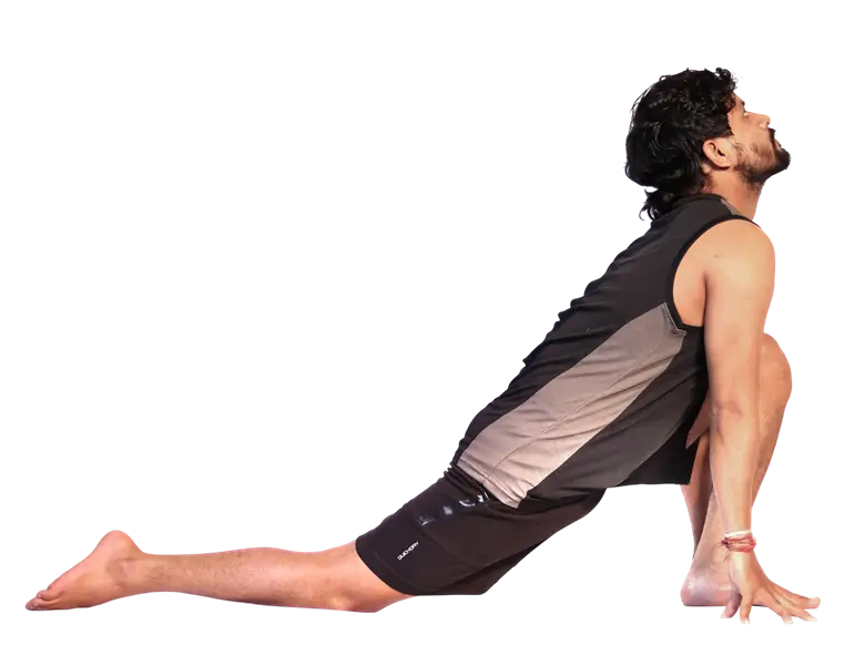 Ashwa Sanchalanasana