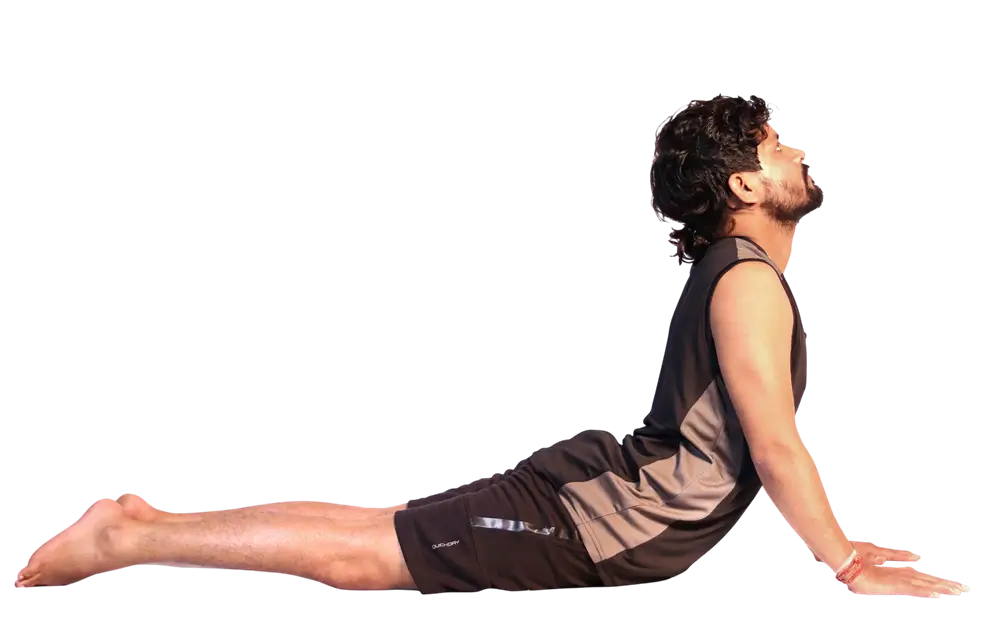 Bhujangasana
