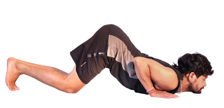 Ashtanga Namaskara