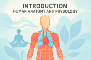 Human Anatomy & Physiology