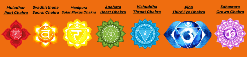 The seven chakras